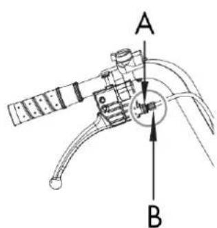 A B