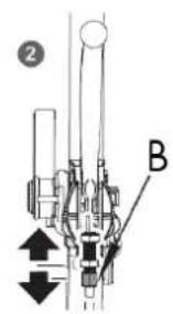 ② B