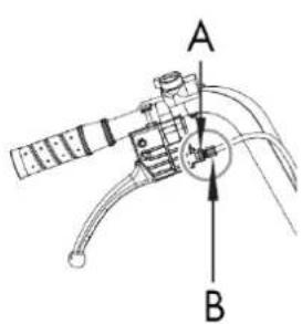 A B