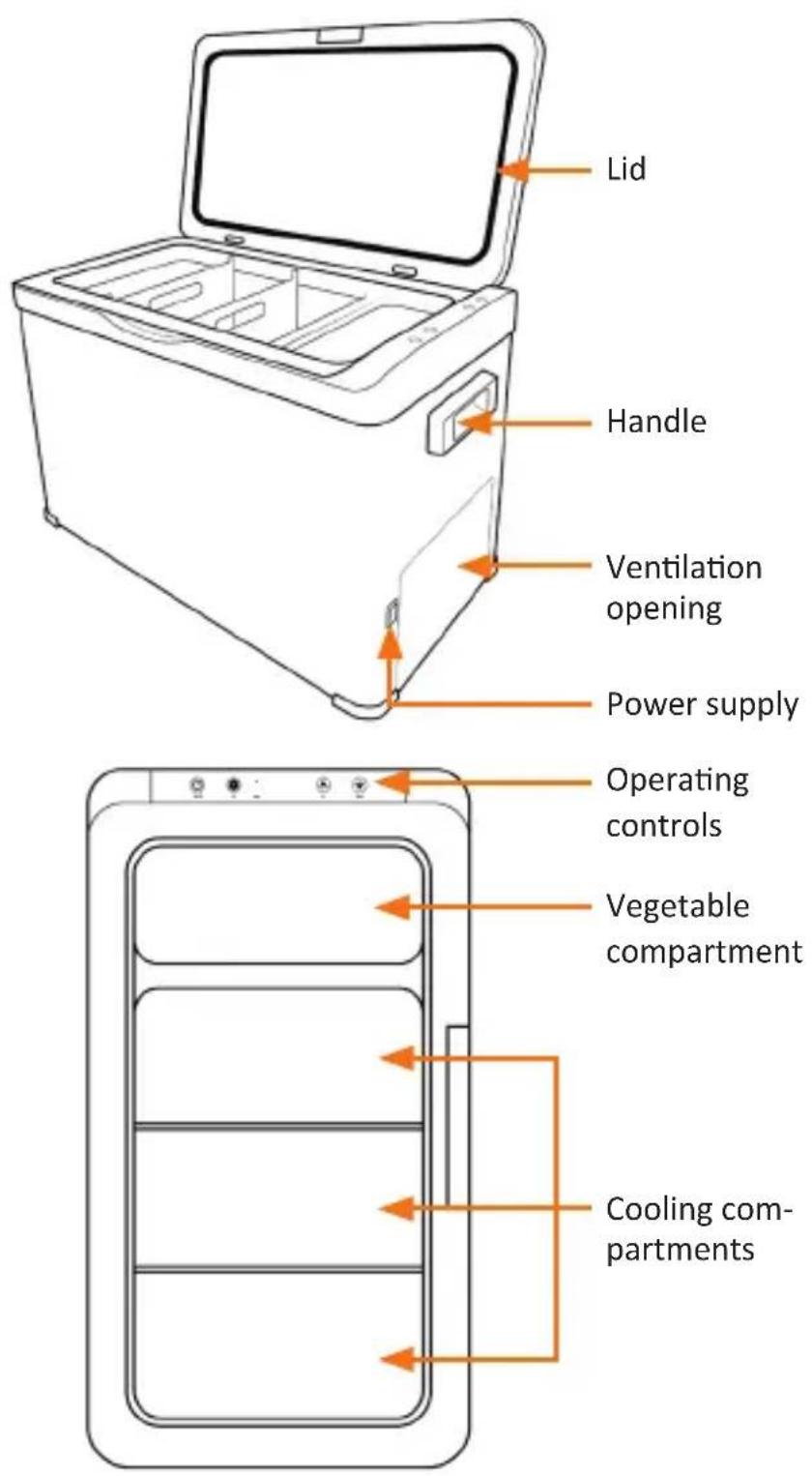 Brandson 308237 - Product details - 1