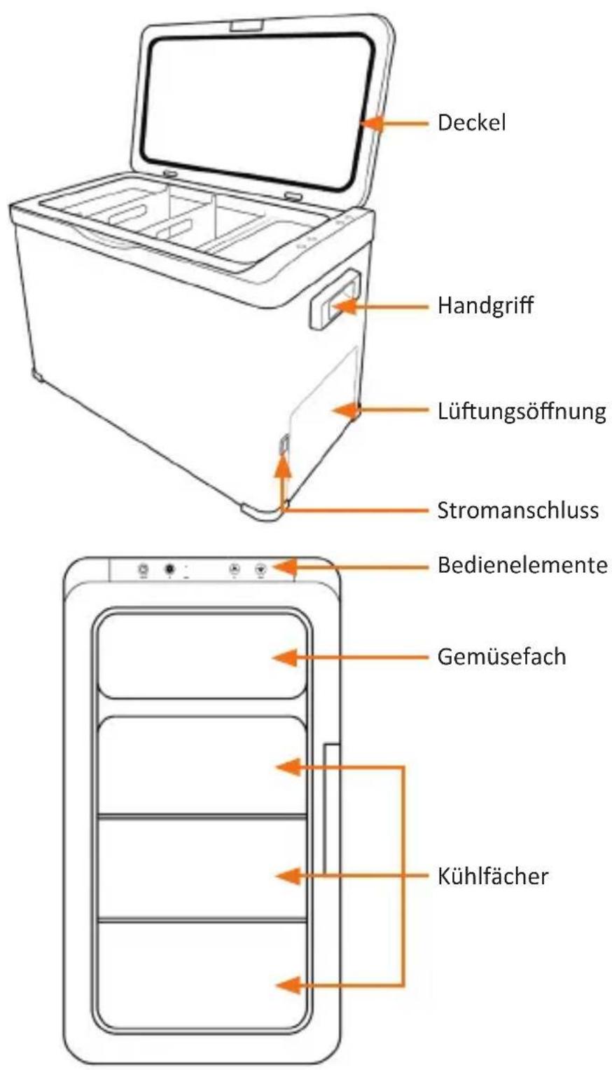 Brandson 308237 - Produkt-Details - 1