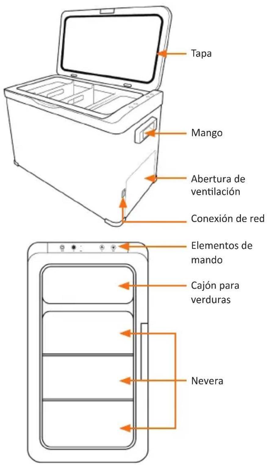 Brandson 308237 - Detalles del producto - 1