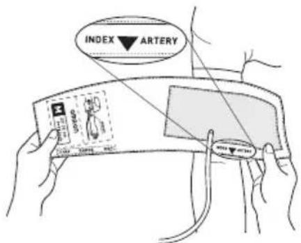 OMRON HBP-1320 - Aligner l'indication « INDEX▼ARTERY » sur l'artère brachiale. - 1