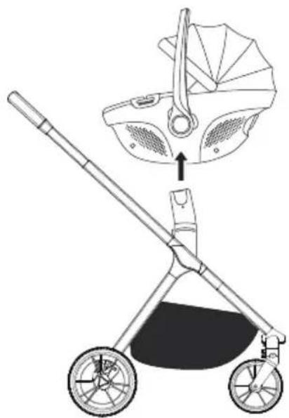 Venicci Tila - 61
