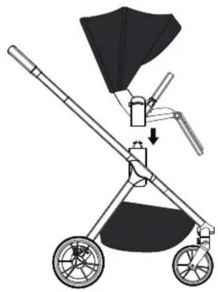 Venicci Tila - 12