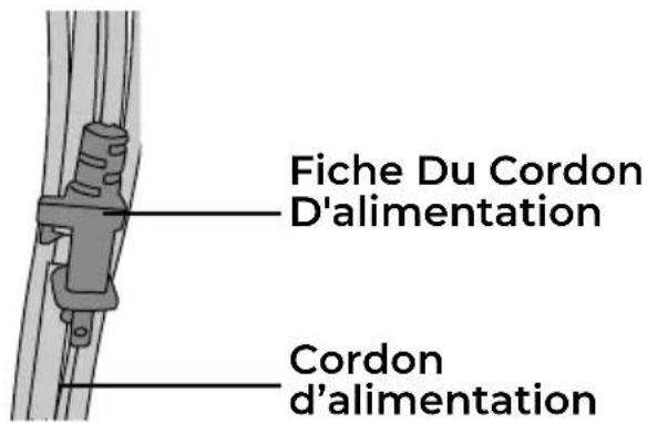 Fiche Du Cordon D'alimentation Cordon d'alimentation