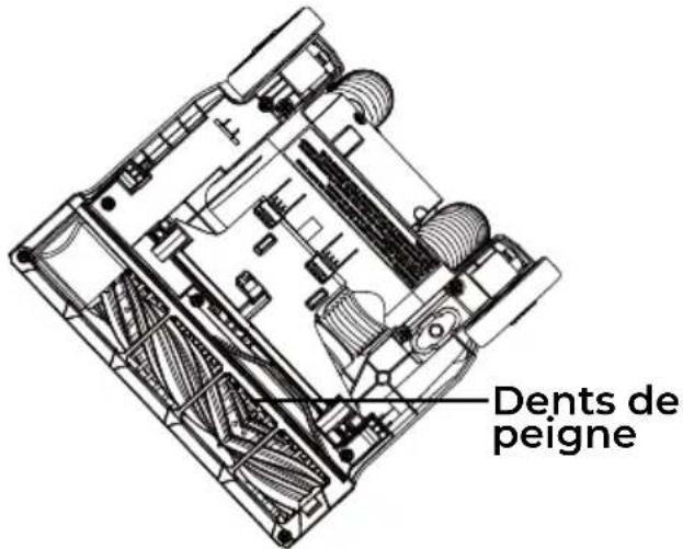 Dents de peigne