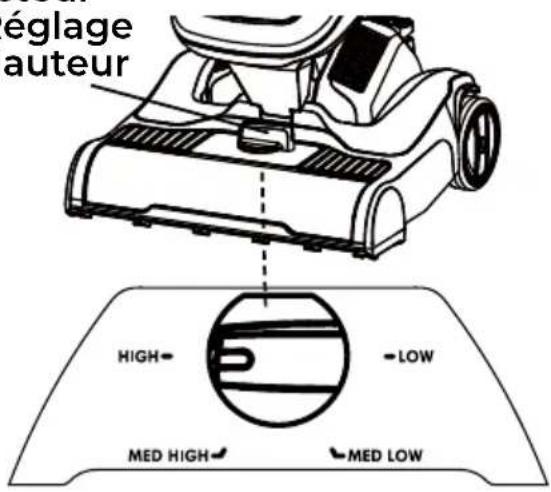 églage auteur HIGH - LOW MED HIGH - MED LOW