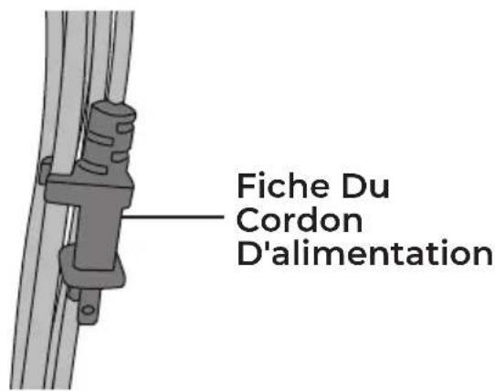 Fiche Du Cordon D'alimentation