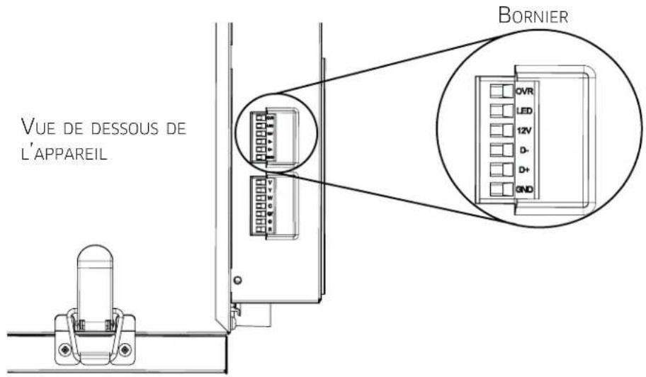 VUE DE DESSOUS DE L'APPAREIL BORNIER OVR LED 12V D- D+ GND