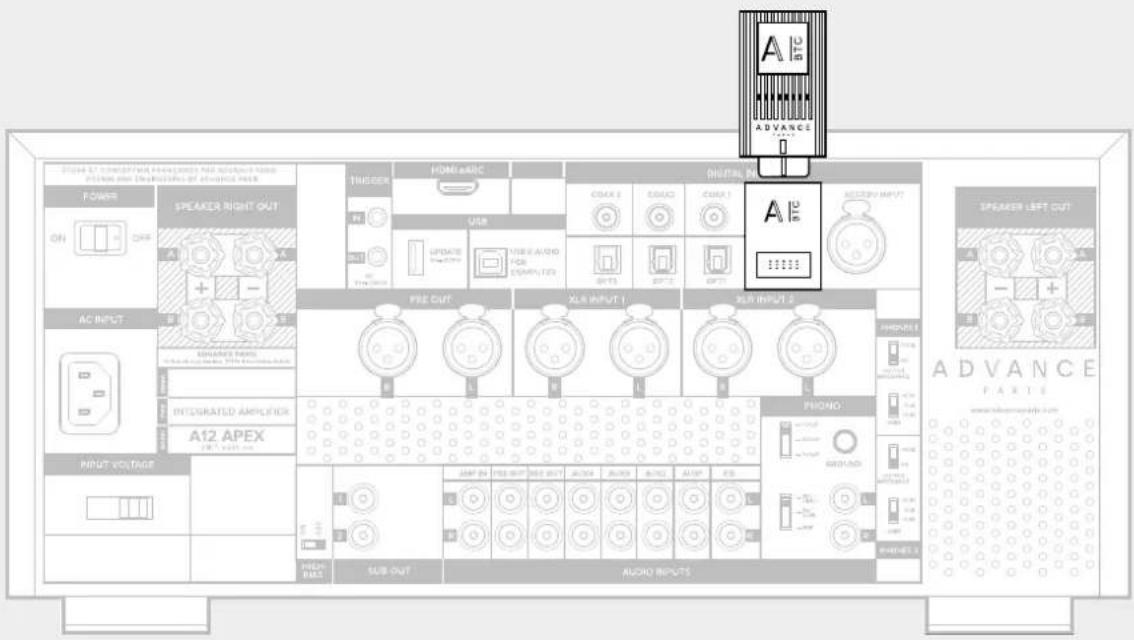 ADVANCE A12 APEX - Sources - 6