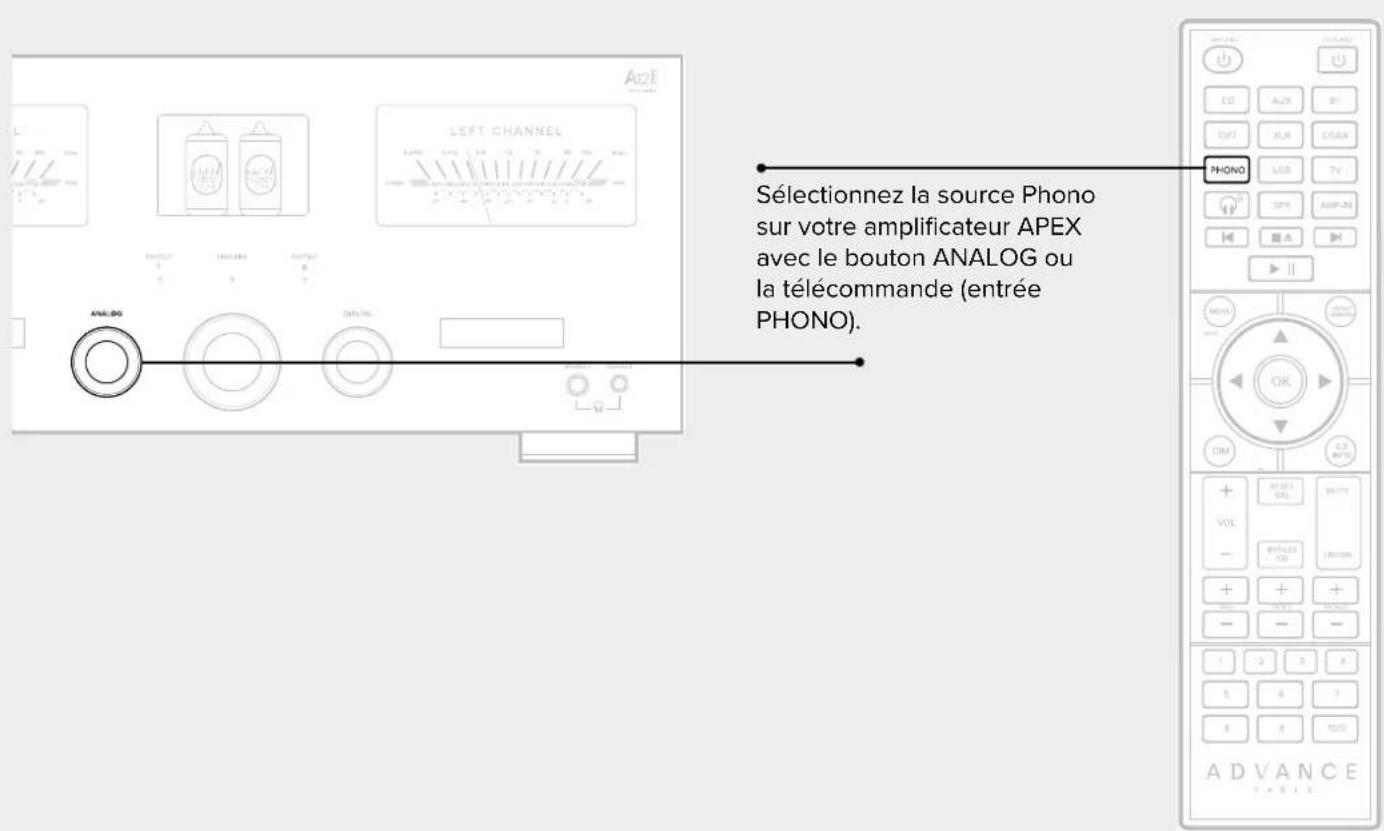 Sélectionnez la source Phono sur votre amplificateur APEX avec le bouton ANALOG ou la télécommande (entrée PHONO).