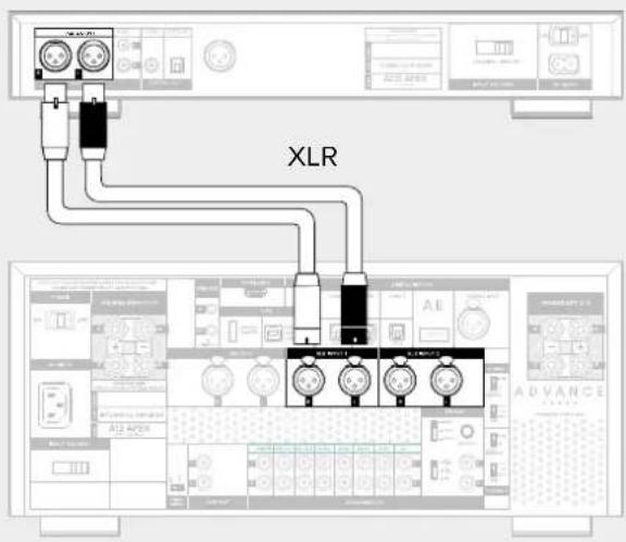 XLR