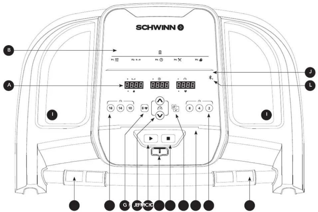 Schwinn SFT 3.1 - DE LOOPBAND WATERPAS ZETTEN - 3