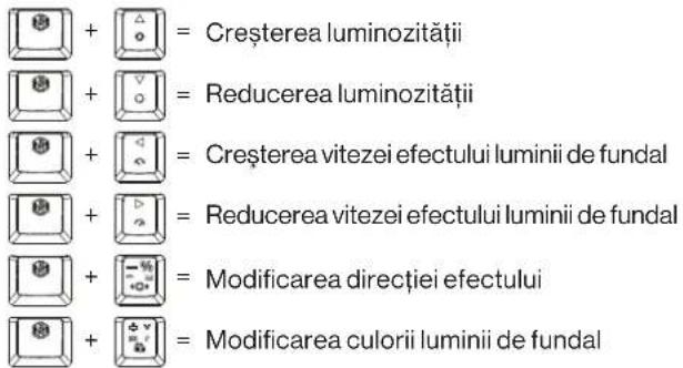 ENDORFY Thock V2 TKL Wireless - TASTE MULTIMEDIA/DE PROGRAMARE LUMINĂ DE FUNDAL LED - 2