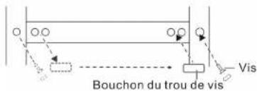Bouchon du trou de vis Vis