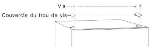 Vis Couvercle du trou de vis