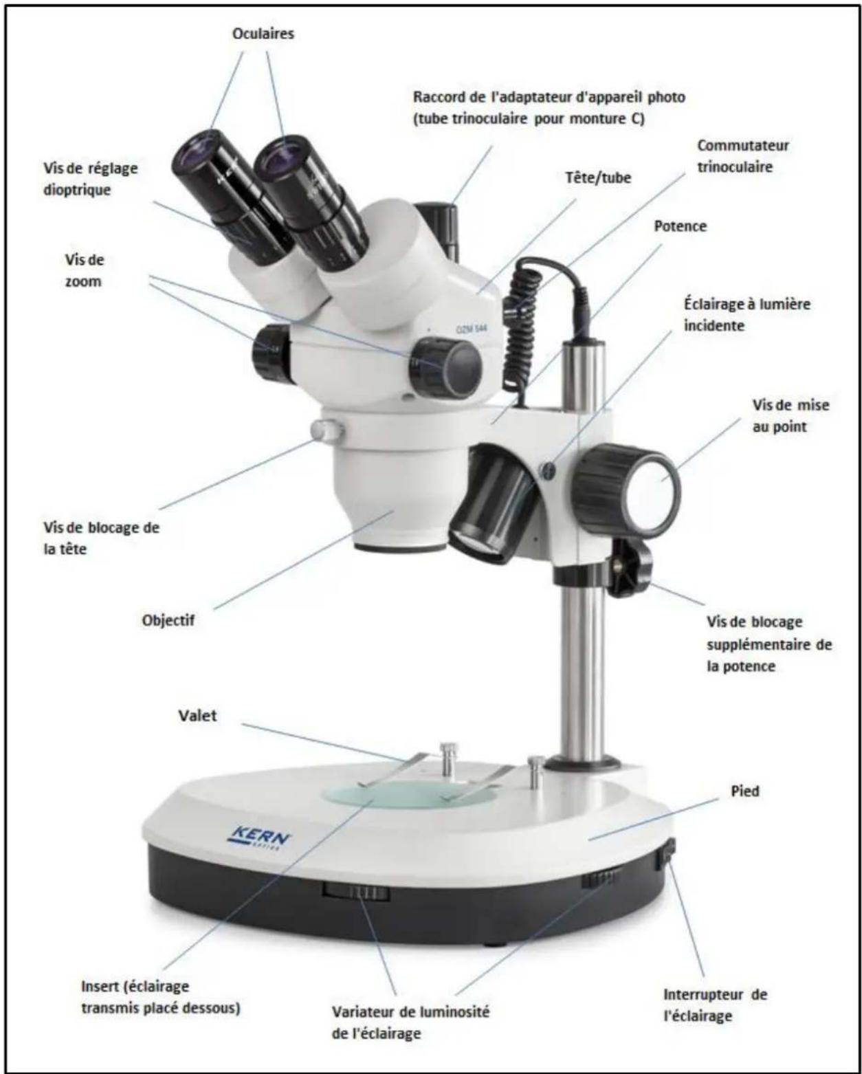 Kern OZM 541 - Nomenclature - 1