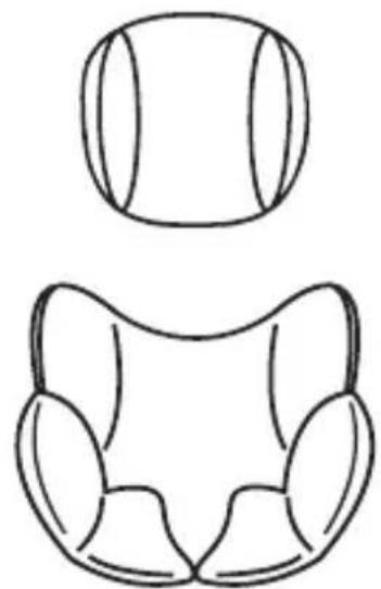 Osann Flame360 - Head cushion &amp; comfort insert - 1