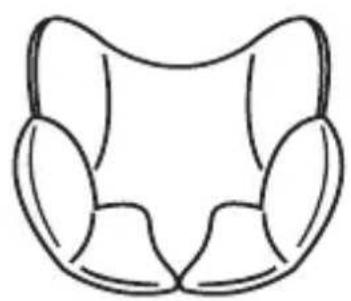 Osann Safety Berlin - Assemblage coque du dossier et du siège (selon la variante) - 2