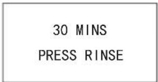 30 MINS PRESS RINSE