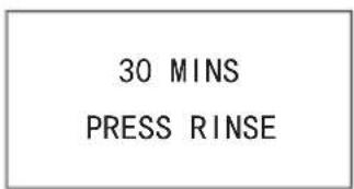 30 MINS PRESS RINSE