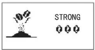 STRONG