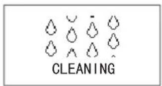 CLEANING