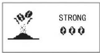 STRONG