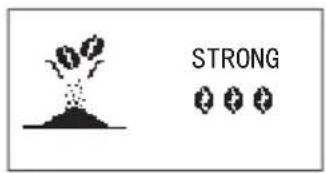 STRONG