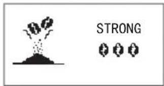 STRONG