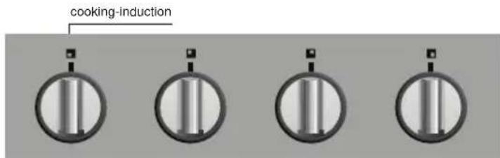 Atag HI4071P - Pictograms used in this manual - 4