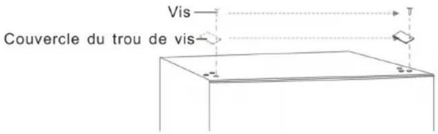 Vis Couvercle du trou de vis