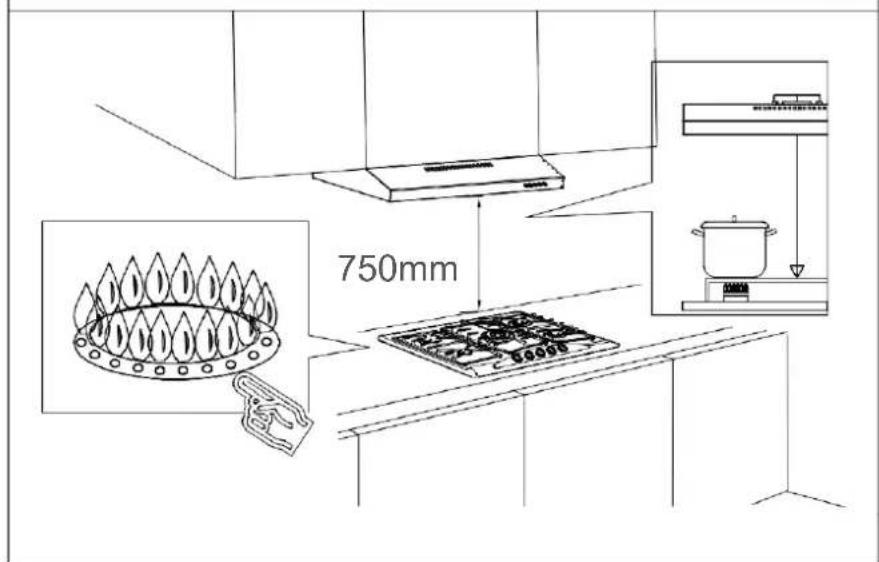 FAR HC20W G - Install the Hood(Extraction): - 2