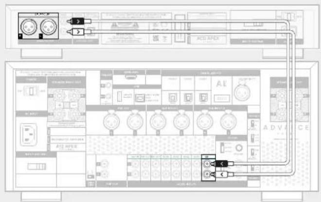 ADVANCE ACD APEX - Sortie XLR (symétrique) sortie RCA (asymétrique) - 2