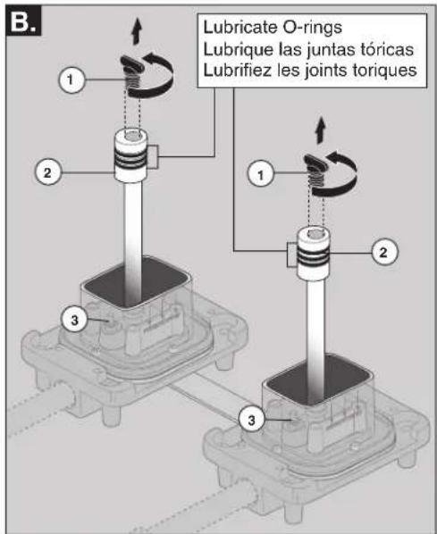 B. Lubricate O-rings Lubrique las juntas tóricas Lubrifiez les joints toriques