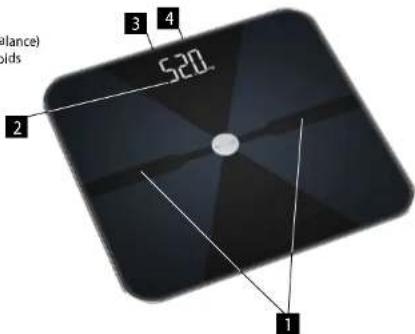 Concept Perfect Health VO5100 - DESCRIPTION DU PRODUIT - 1