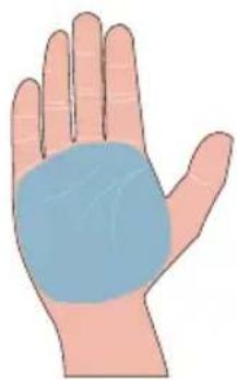 EZVIZ DL50FVX - Ajouter une veine de la paume - 1