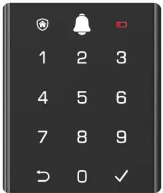 EZVIZ DL50FVX - Pavé numérique - 1