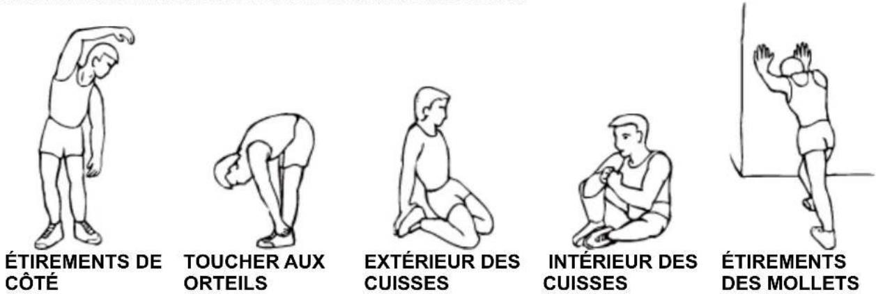 Sole Fitness SFI115 - Étirements - 1