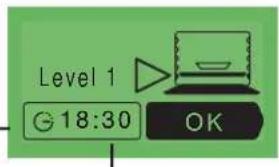 Atag ZX6011Q - THE "DIFFERED START" FUNCTION: - 1