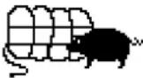 Atag ZX6011Q - THE "DIFFERED START" FUNCTION: - 5