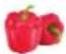 TRISTAR FR-9074 - Programval - 5