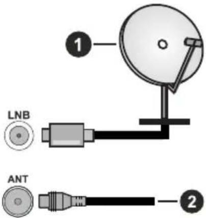 EDENWOOD ED43EA14UHD-VE - Antenna Connection - 1