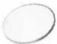 BRESSER Biolux ICD Pro - lames préparées - 1