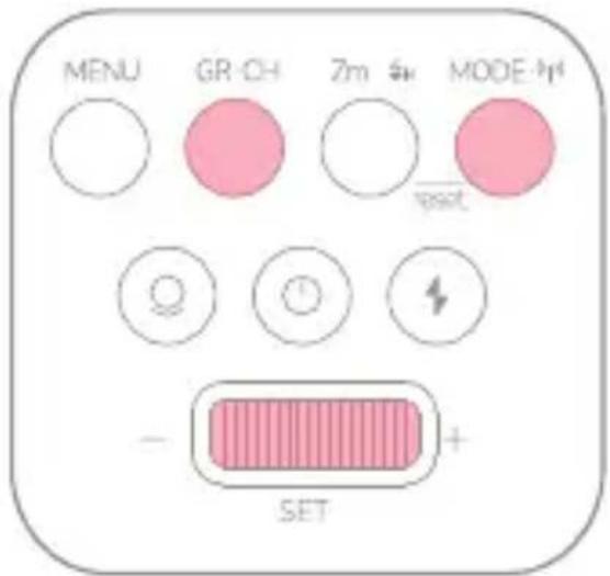 Neewer Q120 - Transmission sans fil 2,4g - 1