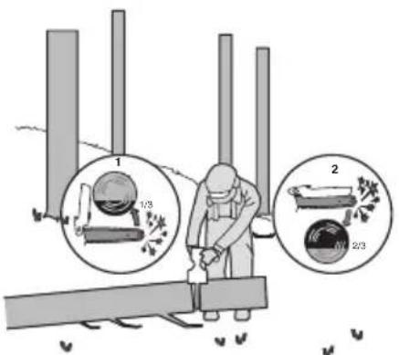 WORX WG327E - Takken van de gevelde boom afzagen - 3