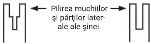 WORX WG327E - Pentru a curăța lama de ghidare: - 1