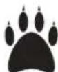 BOSCH Rotak 18V2-43 - Erläuterung der Symbole Rasenmäher - 13