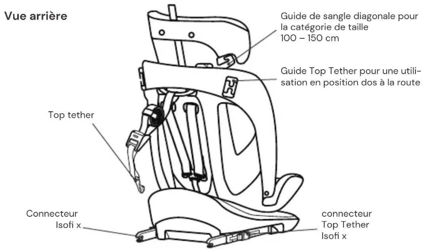 Vue arrière Guide de sangle diagonale pour la catégorie de taille 100 - 150 cm Guide Top Tether pour une utilisation en position dos à la route Top tether Connecteur Isofi x connecteur Top Tether Isofi x